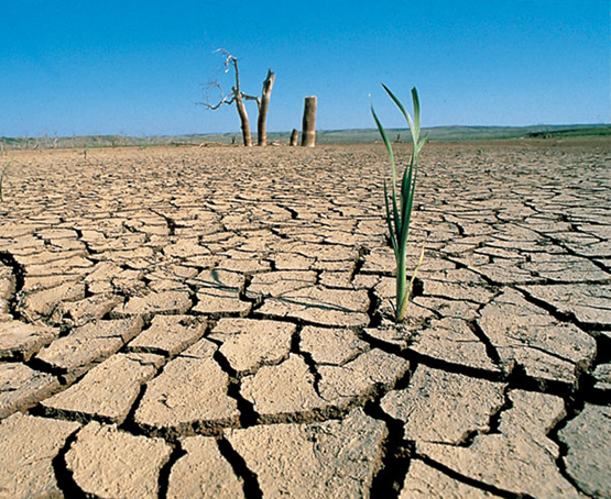 Las prolongadas sequías podrían ser un problema cada vez más frecuente. Conocer si se van a producir con bastante antelación es esenciales para millones de agricucltores.